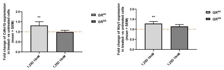 https://cdn.ncbi.nlm.nih.gov/pmc/blobs/b92a/10527904/32bc3bf8a1e5/cells-12-02291-g008.jpg