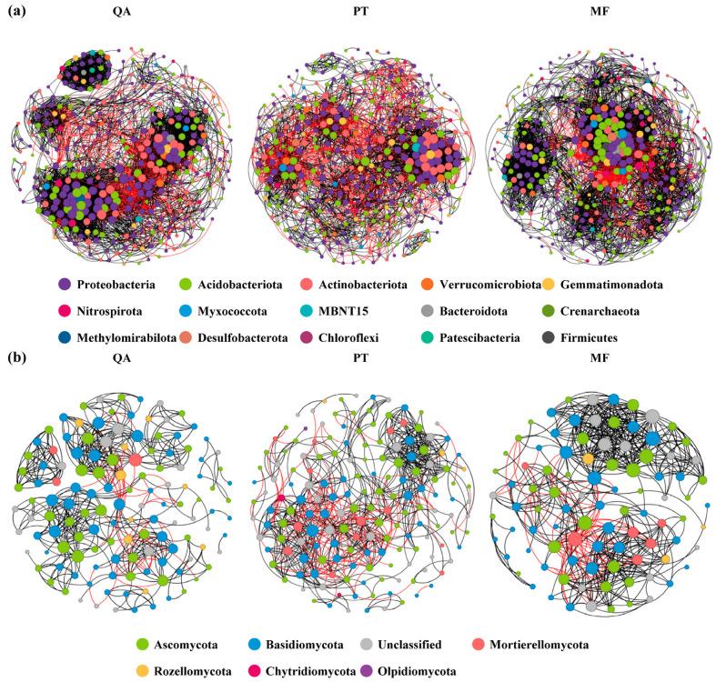 https://cdn.ncbi.nlm.nih.gov/pmc/blobs/b92e/12388296/0b6649e1dbe8/microorganisms-13-01906-g005.jpg