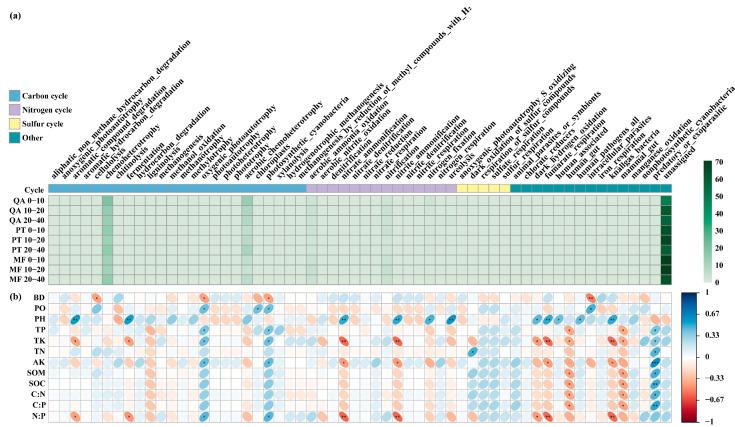 https://cdn.ncbi.nlm.nih.gov/pmc/blobs/b92e/12388296/645fbcae18e6/microorganisms-13-01906-g006.jpg
