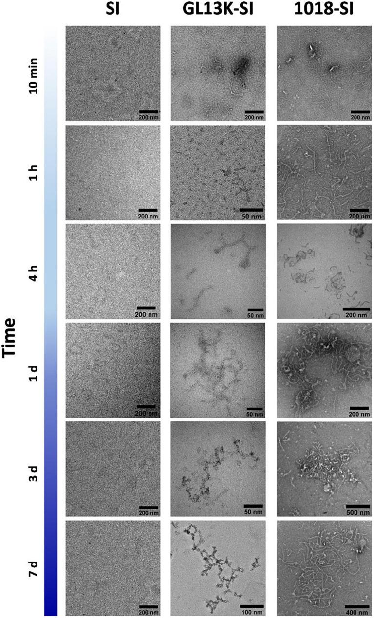 https://cdn.ncbi.nlm.nih.gov/pmc/blobs/b92f/8323661/ab223d5fda89/fbioe-09-652384-g007.jpg