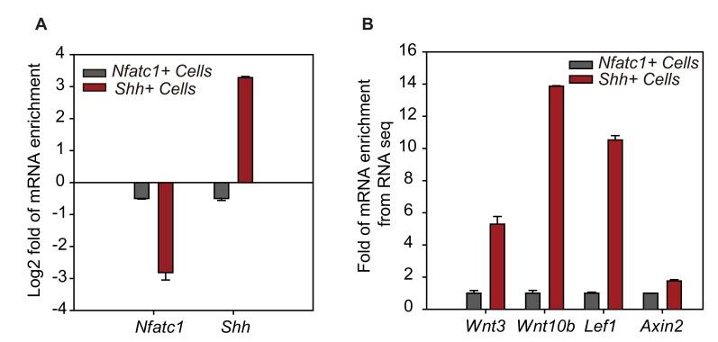https://cdn.ncbi.nlm.nih.gov/pmc/blobs/b933/4758985/10585f26156e/elife-10567-fig3-figsupp1.jpg