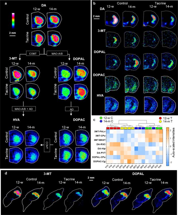 https://cdn.ncbi.nlm.nih.gov/pmc/blobs/b933/8787750/557dc866e785/cb1c00803_0003.jpg