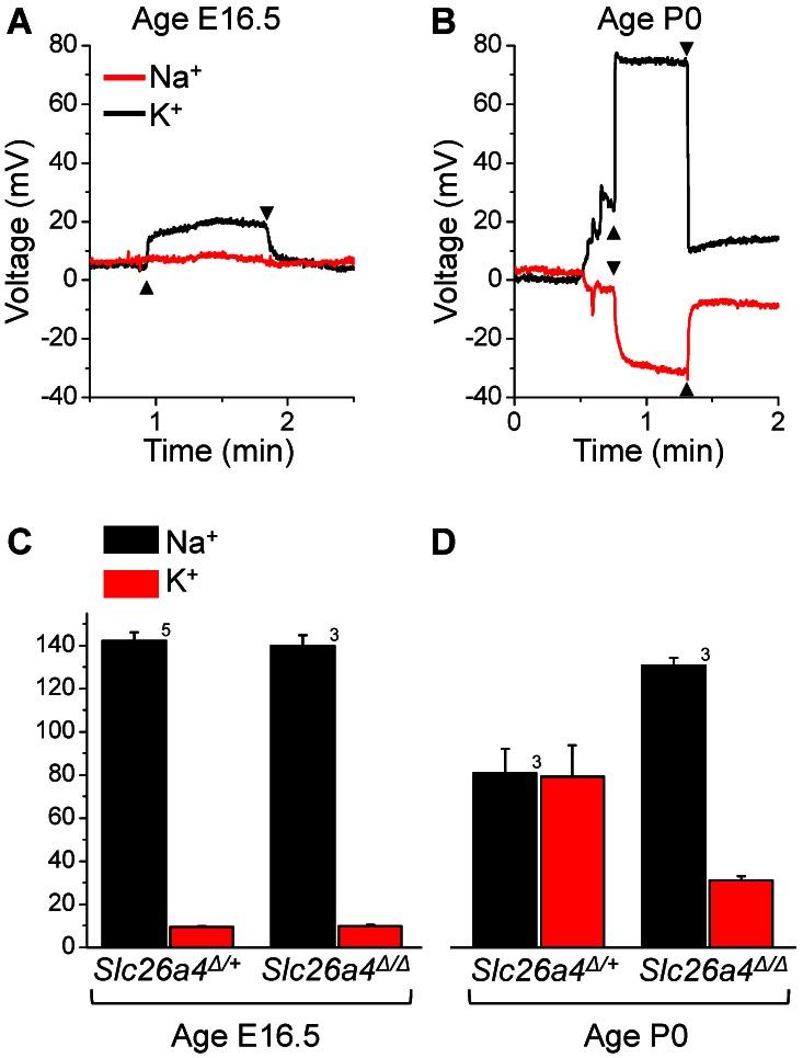 https://cdn.ncbi.nlm.nih.gov/pmc/blobs/b935/3669272/6336bca1c8e9/pone.0065977.g005.jpg