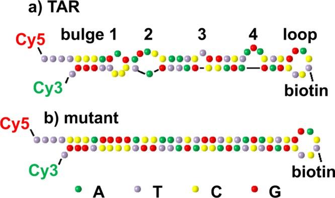 https://cdn.ncbi.nlm.nih.gov/pmc/blobs/b935/4207534/0ff2db396b0e/jp-2014-07067p_0003.jpg