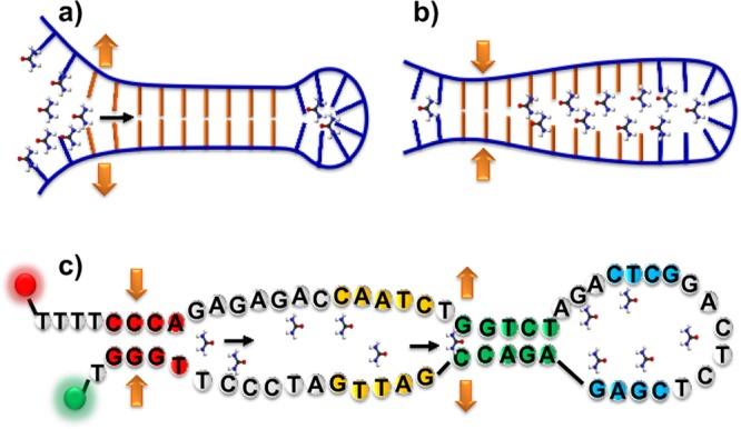 https://cdn.ncbi.nlm.nih.gov/pmc/blobs/b935/4207534/f50850e78acf/jp-2014-07067p_0002.jpg