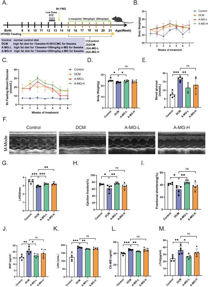 https://cdn.ncbi.nlm.nih.gov/pmc/blobs/b937/12043880/4111d8acc534/fphar-16-1566311-g006.jpg