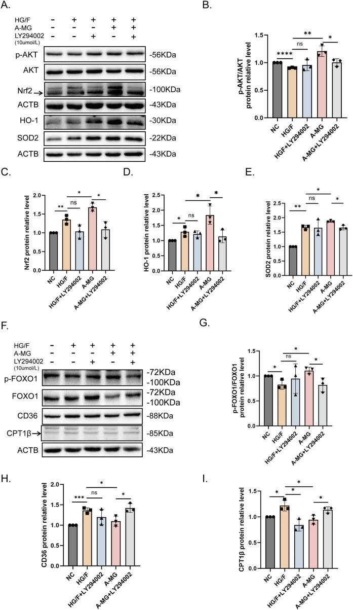 https://cdn.ncbi.nlm.nih.gov/pmc/blobs/b937/12043880/98fdb6d3b2dc/fphar-16-1566311-g005.jpg