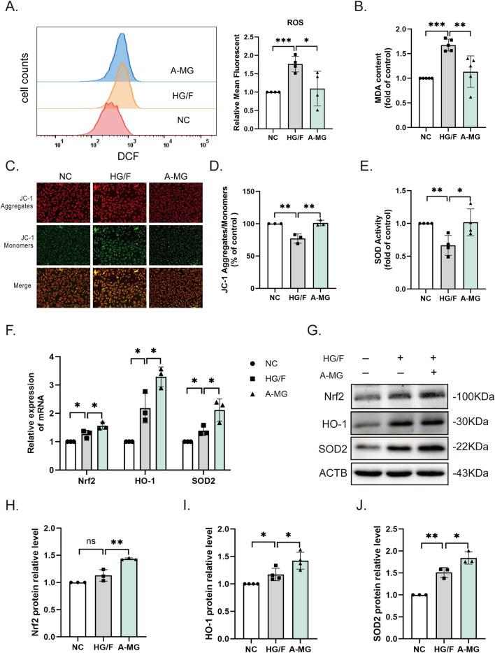 https://cdn.ncbi.nlm.nih.gov/pmc/blobs/b937/12043880/d4a858af221a/fphar-16-1566311-g002.jpg