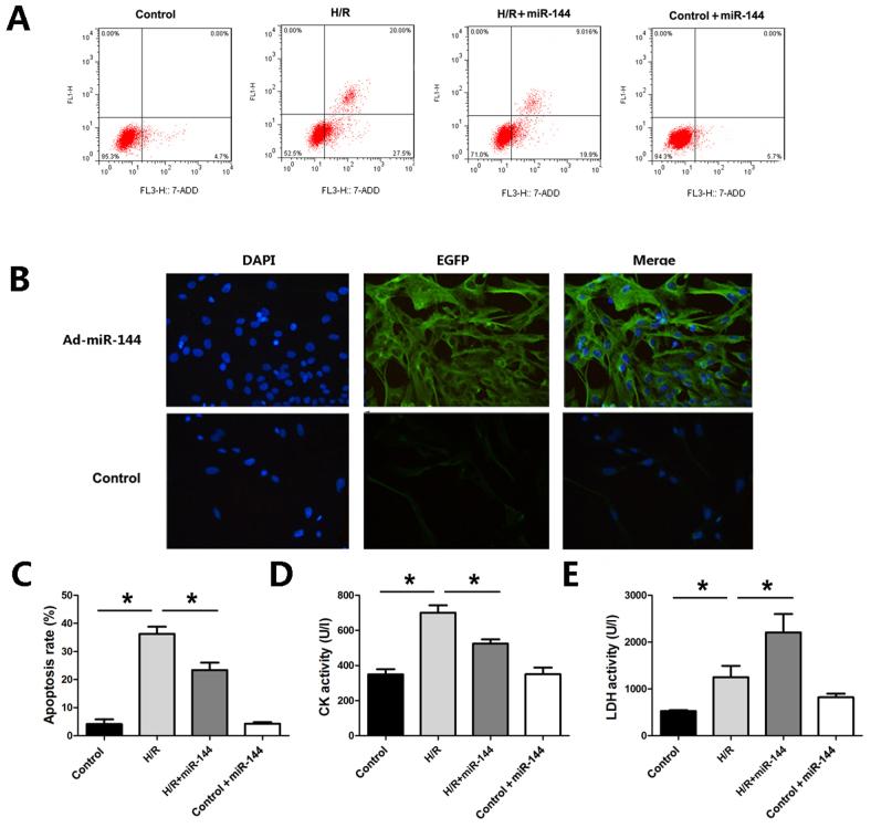 https://cdn.ncbi.nlm.nih.gov/pmc/blobs/b937/6364149/2cf1613778a4/etm-17-03-2152-g03.jpg