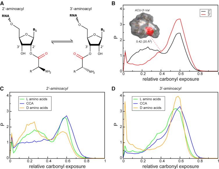 https://cdn.ncbi.nlm.nih.gov/pmc/blobs/b938/6868383/76240229d5df/gkz902fig1.jpg