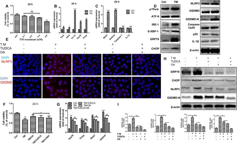 https://cdn.ncbi.nlm.nih.gov/pmc/blobs/b93a/6990600/deec342392d2/12986_2020_434_Fig5_HTML.jpg