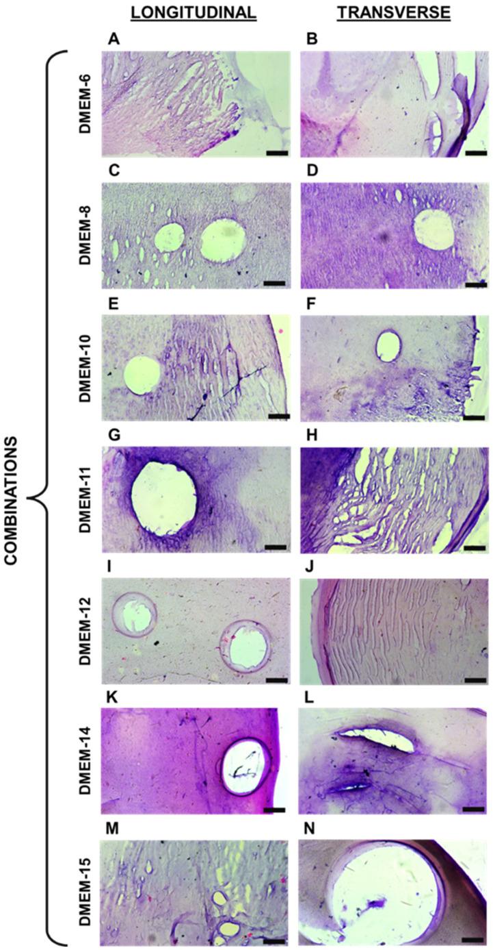 https://cdn.ncbi.nlm.nih.gov/pmc/blobs/b93b/11761273/0c0523cc30cd/biomedicines-13-00208-g002.jpg