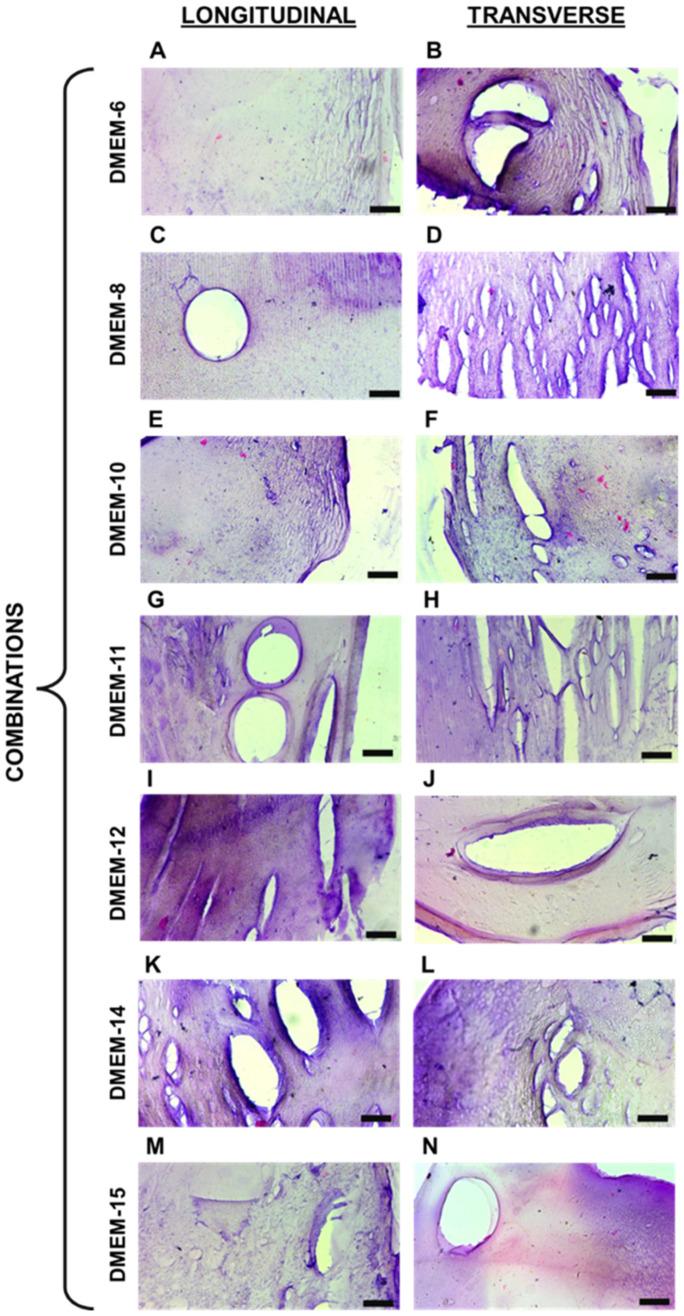 https://cdn.ncbi.nlm.nih.gov/pmc/blobs/b93b/11761273/be43b145bbd6/biomedicines-13-00208-g003.jpg