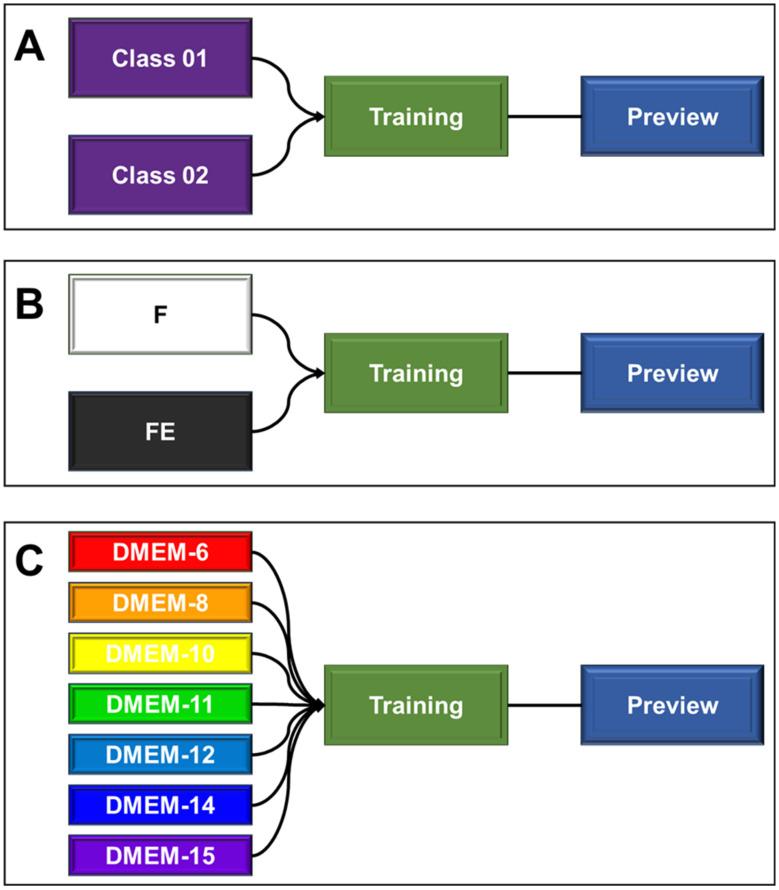 https://cdn.ncbi.nlm.nih.gov/pmc/blobs/b93b/11761273/ce80e138ced7/biomedicines-13-00208-g001.jpg