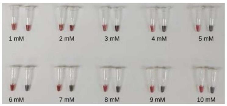 https://cdn.ncbi.nlm.nih.gov/pmc/blobs/b93f/11507355/903f34a76c79/diagnostics-14-02323-g006.jpg