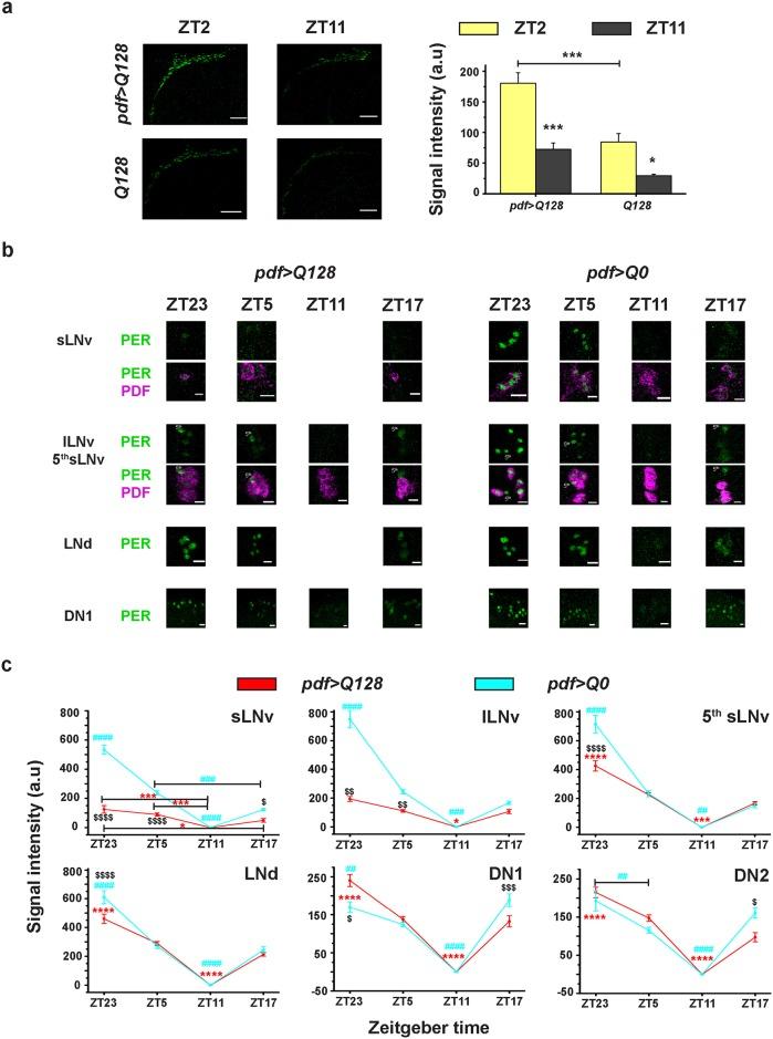 https://cdn.ncbi.nlm.nih.gov/pmc/blobs/b941/5448722/ff3a8a023a7f/pone.0175073.g004.jpg