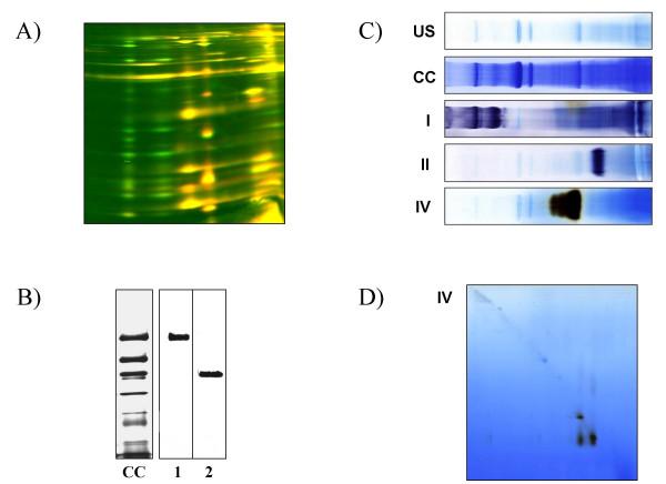 https://cdn.ncbi.nlm.nih.gov/pmc/blobs/b942/1308860/a94b324fb708/1746-4811-1-11-3.jpg