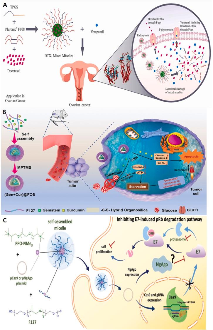 https://cdn.ncbi.nlm.nih.gov/pmc/blobs/b943/12018049/08c15a98d27f/gr6.jpg