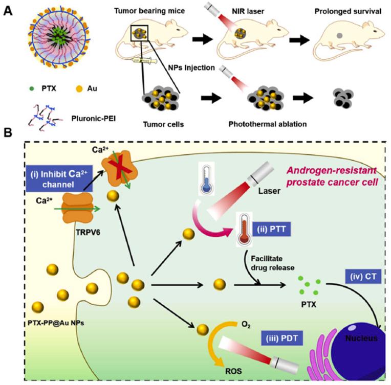 https://cdn.ncbi.nlm.nih.gov/pmc/blobs/b943/12018049/abaca8056a46/gr5.jpg