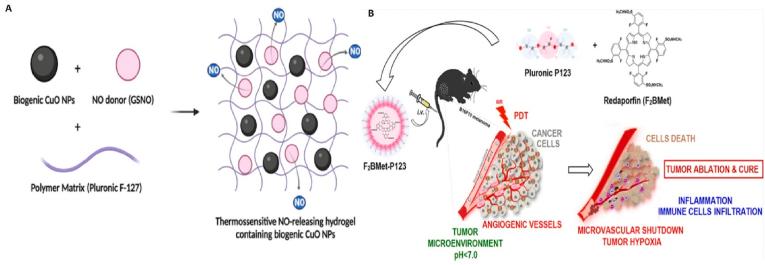 https://cdn.ncbi.nlm.nih.gov/pmc/blobs/b943/12018049/b1b01167dda5/gr7.jpg