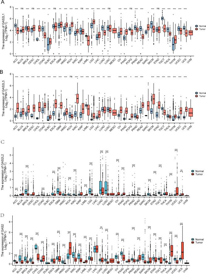 https://cdn.ncbi.nlm.nih.gov/pmc/blobs/b945/11164853/0e5bc0c5ccfb/12672_2024_1083_Fig3_HTML.jpg