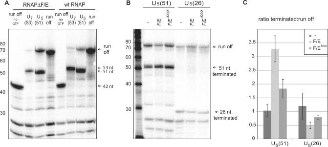 https://cdn.ncbi.nlm.nih.gov/pmc/blobs/b945/2811020/20b6fc8b53a3/gkp928f6.jpg