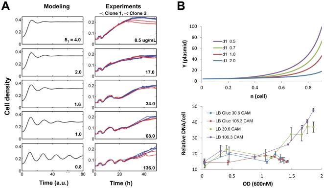 https://cdn.ncbi.nlm.nih.gov/pmc/blobs/b946/2912849/6c5f3ee7da18/pone.0011909.g006.jpg