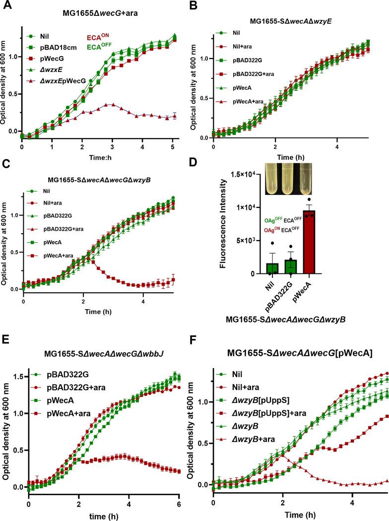 https://cdn.ncbi.nlm.nih.gov/pmc/blobs/b948/11813082/14be78c4571d/pgen.1011591.g004.jpg