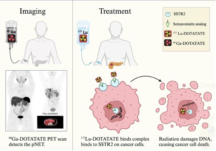 https://cdn.ncbi.nlm.nih.gov/pmc/blobs/b948/12089376/0975b427d930/41698_2025_938_Fig1_HTML.jpg