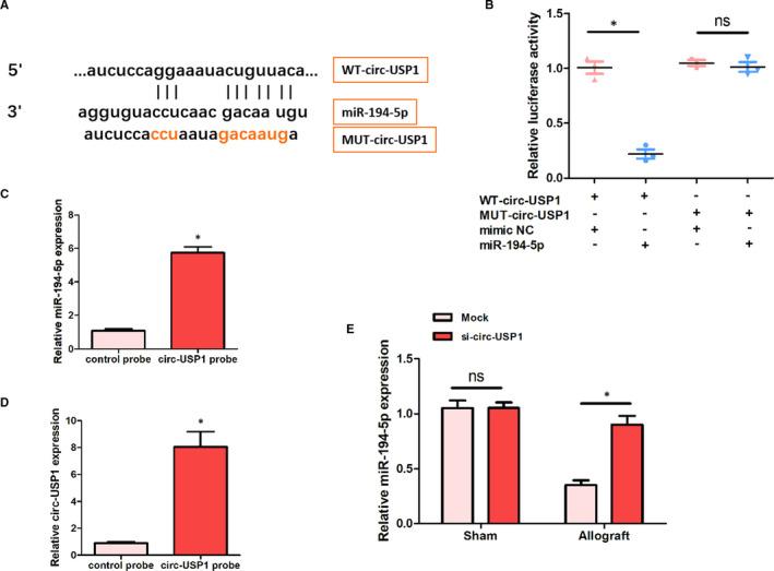 https://cdn.ncbi.nlm.nih.gov/pmc/blobs/b949/8256350/372561715130/JCMM-25-5940-g006.jpg