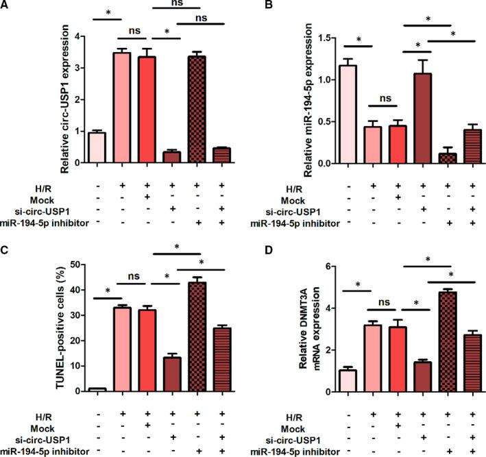 https://cdn.ncbi.nlm.nih.gov/pmc/blobs/b949/8256350/67c940a290a6/JCMM-25-5940-g001.jpg