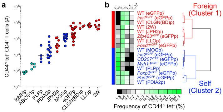https://cdn.ncbi.nlm.nih.gov/pmc/blobs/b94b/4718891/e42d7834c3a8/nihms733233f8.jpg