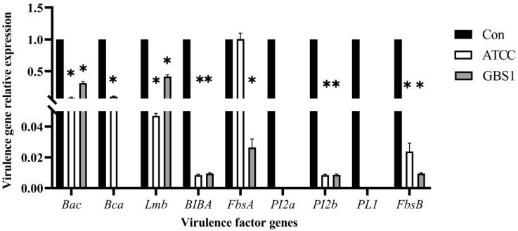 https://cdn.ncbi.nlm.nih.gov/pmc/blobs/b94d/12195466/0e8c61c23794/microorganisms-13-01192-g011.jpg