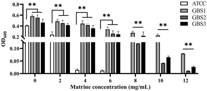 https://cdn.ncbi.nlm.nih.gov/pmc/blobs/b94d/12195466/ad9d5f7e04c0/microorganisms-13-01192-g001.jpg