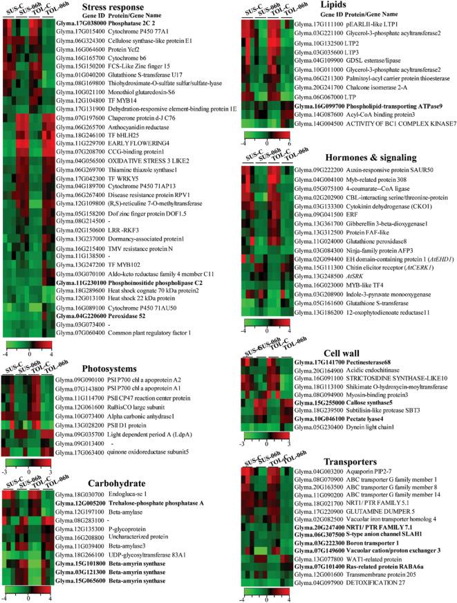 https://cdn.ncbi.nlm.nih.gov/pmc/blobs/b94f/12397409/fcecfa4e77c4/41598_2025_17329_Fig5_HTML.jpg