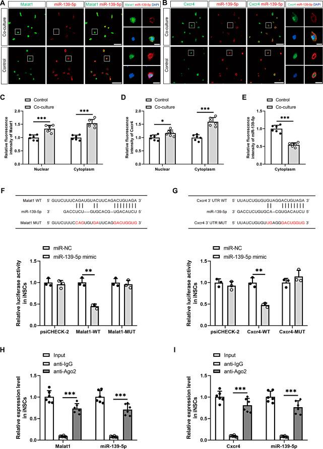 https://cdn.ncbi.nlm.nih.gov/pmc/blobs/b950/11780782/4fc04672dab4/13287_2024_4116_Fig2_HTML.jpg