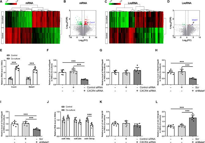 https://cdn.ncbi.nlm.nih.gov/pmc/blobs/b950/11780782/d9e790af6d47/13287_2024_4116_Fig1_HTML.jpg