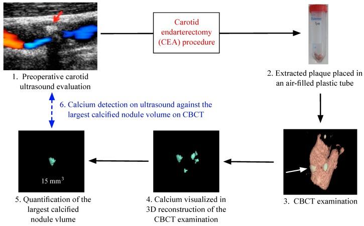 https://cdn.ncbi.nlm.nih.gov/pmc/blobs/b950/4581335/8fa717725b60/ijms-16-19978-g002.jpg
