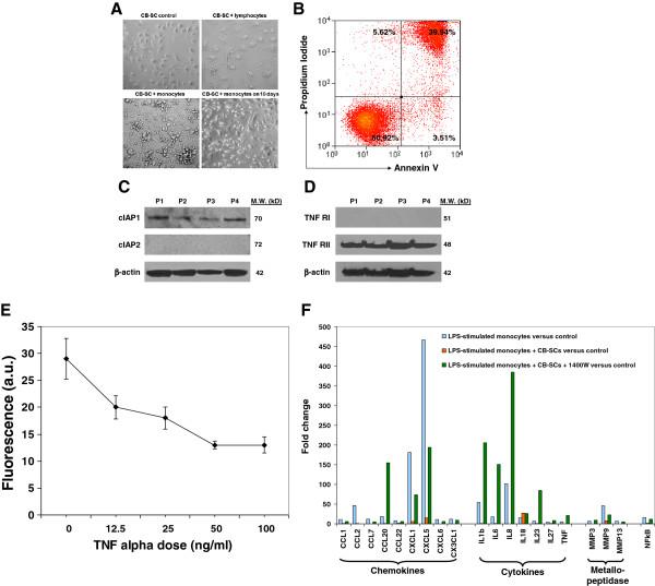 https://cdn.ncbi.nlm.nih.gov/pmc/blobs/b953/3716981/2bb014dd5525/1741-7015-11-160-3.jpg
