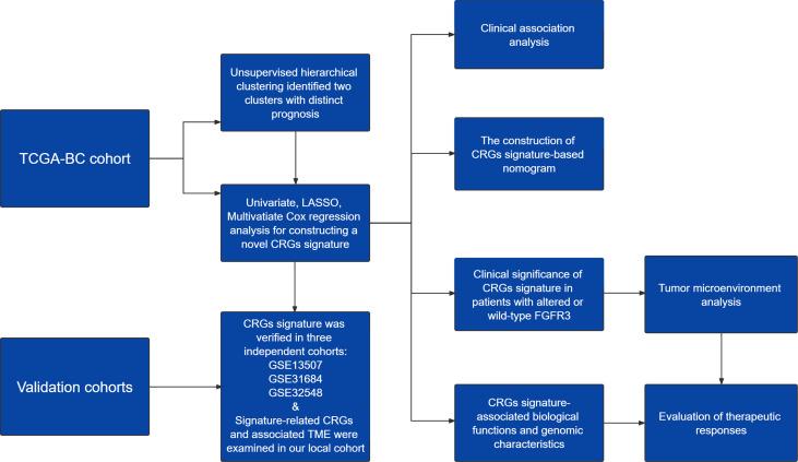 https://cdn.ncbi.nlm.nih.gov/pmc/blobs/b954/9404245/036849ebbc00/fonc-12-915662-g001.jpg