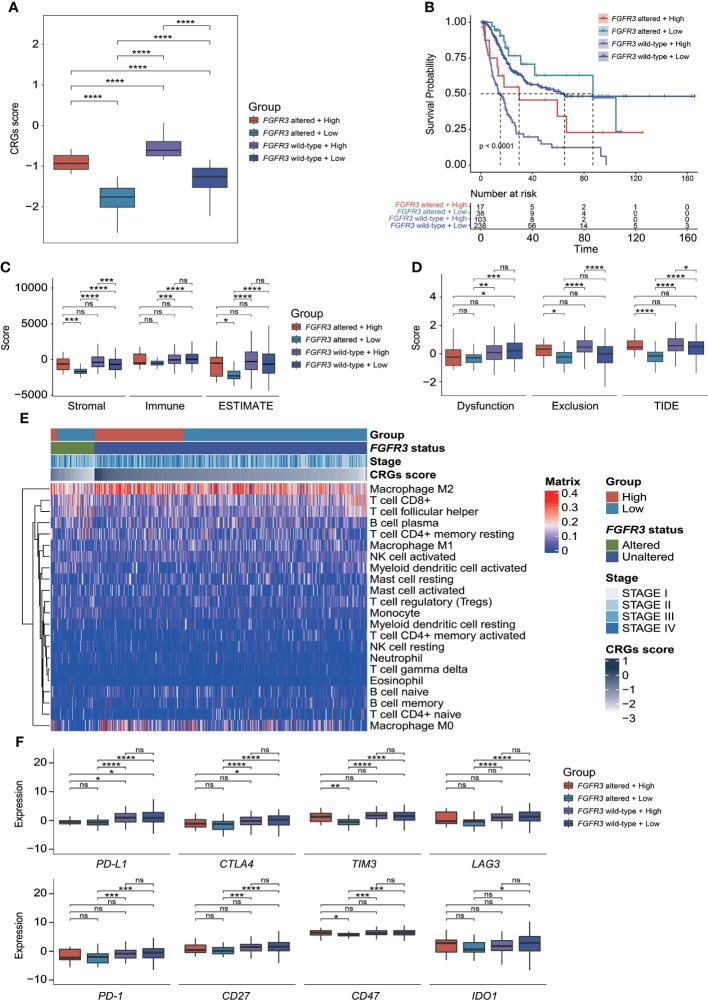 https://cdn.ncbi.nlm.nih.gov/pmc/blobs/b954/9404245/6bc226426693/fonc-12-915662-g010.jpg