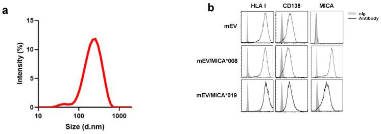 https://cdn.ncbi.nlm.nih.gov/pmc/blobs/b955/10253317/6ac08b820efe/ijms-24-09467-g001.jpg