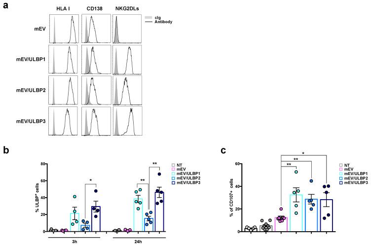 https://cdn.ncbi.nlm.nih.gov/pmc/blobs/b955/10253317/cf1d7a923bee/ijms-24-09467-g004.jpg