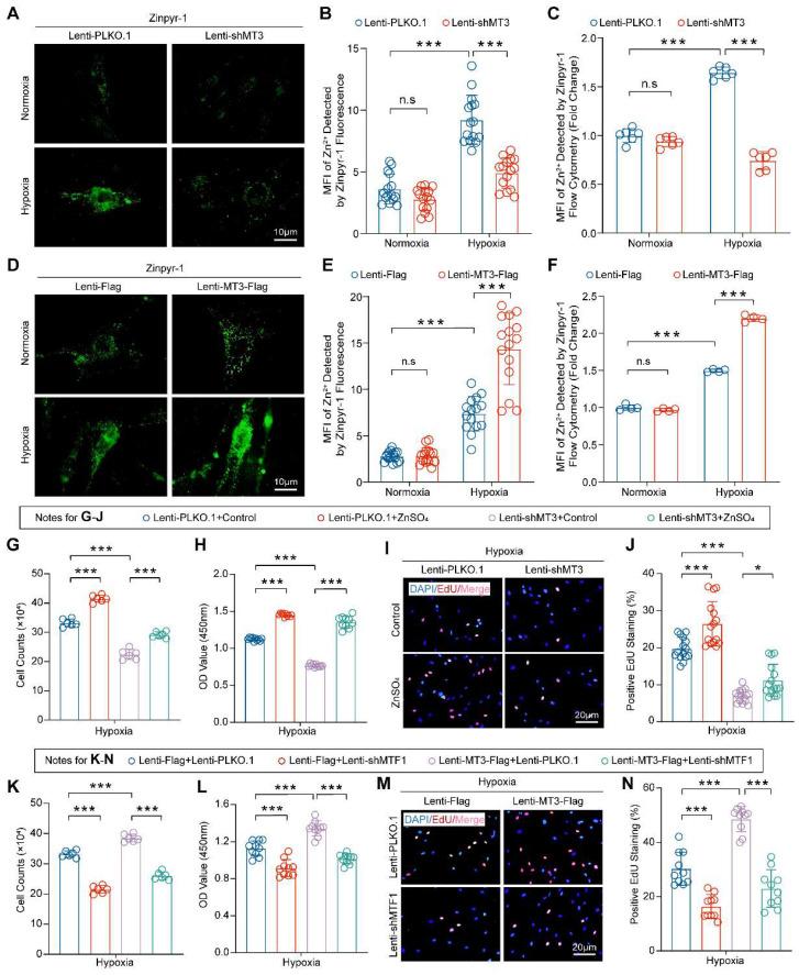 https://cdn.ncbi.nlm.nih.gov/pmc/blobs/b956/11186363/b01606c4ba44/ijbsv20p2904g005.jpg