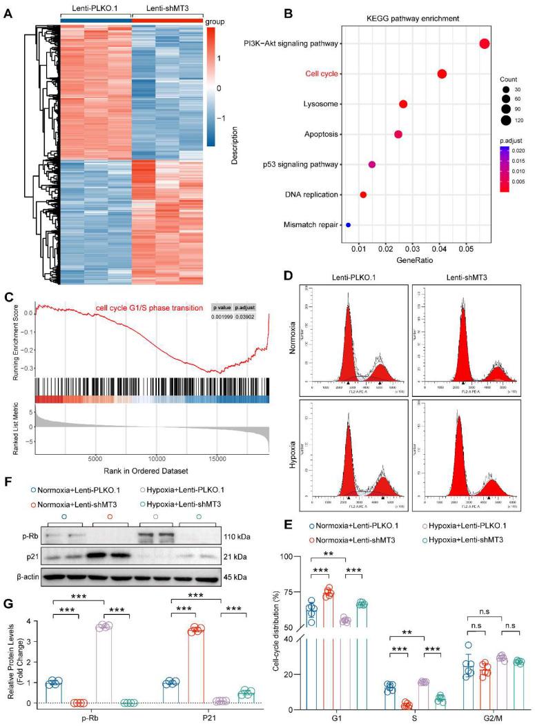https://cdn.ncbi.nlm.nih.gov/pmc/blobs/b956/11186363/bf0b8d7a386d/ijbsv20p2904g003.jpg