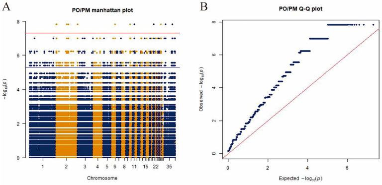 https://cdn.ncbi.nlm.nih.gov/pmc/blobs/b958/11675992/5f037e49bc69/genes-15-01553-g003.jpg