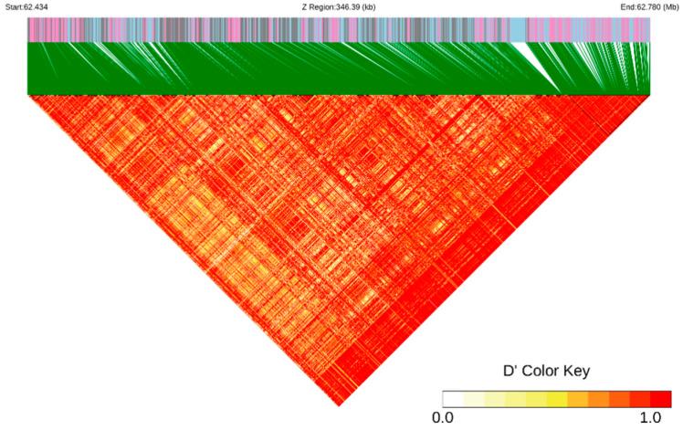 https://cdn.ncbi.nlm.nih.gov/pmc/blobs/b958/11675992/8544ae397073/genes-15-01553-g004.jpg
