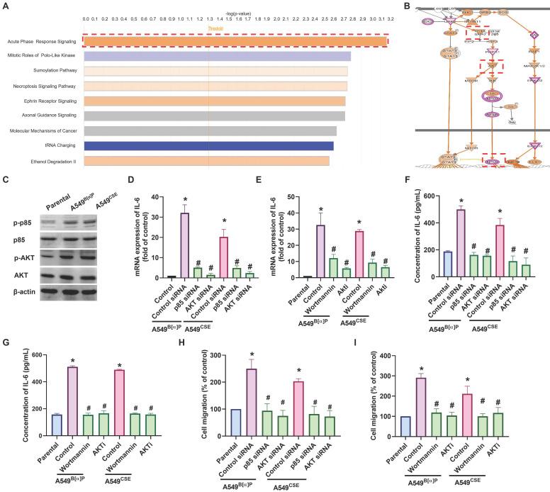 https://cdn.ncbi.nlm.nih.gov/pmc/blobs/b959/11234207/31add3426a8d/ijbsv20p3257g003.jpg