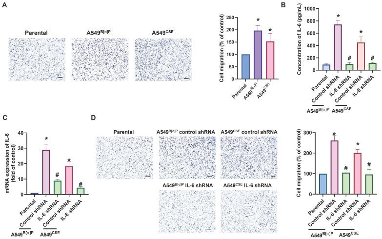 https://cdn.ncbi.nlm.nih.gov/pmc/blobs/b959/11234207/de1ad00cfde5/ijbsv20p3257g002.jpg
