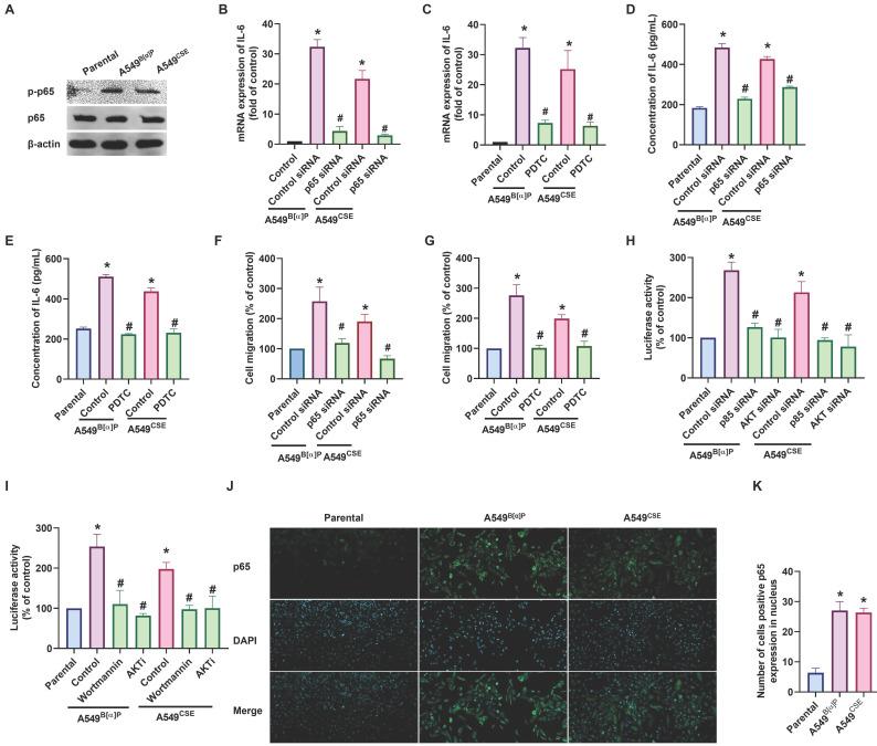 https://cdn.ncbi.nlm.nih.gov/pmc/blobs/b959/11234207/eba786019a14/ijbsv20p3257g004.jpg